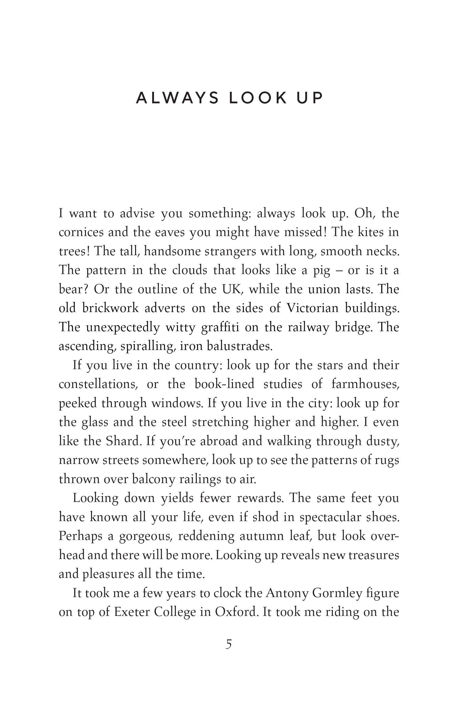 The Joy of Small Things