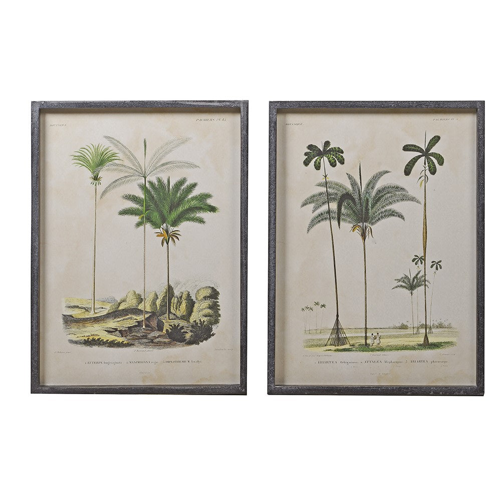 Pair of Palm Tree Pictures
