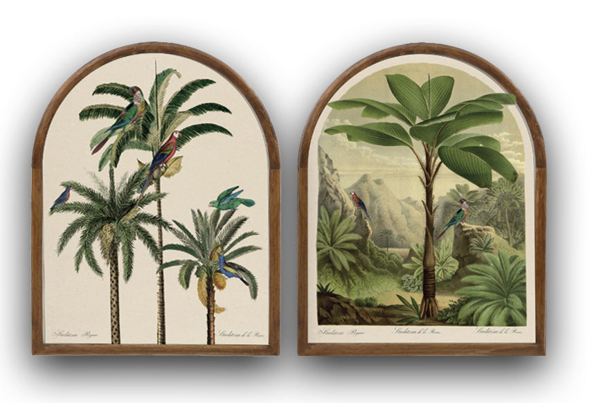 Arched parrot palm tree picture 1
