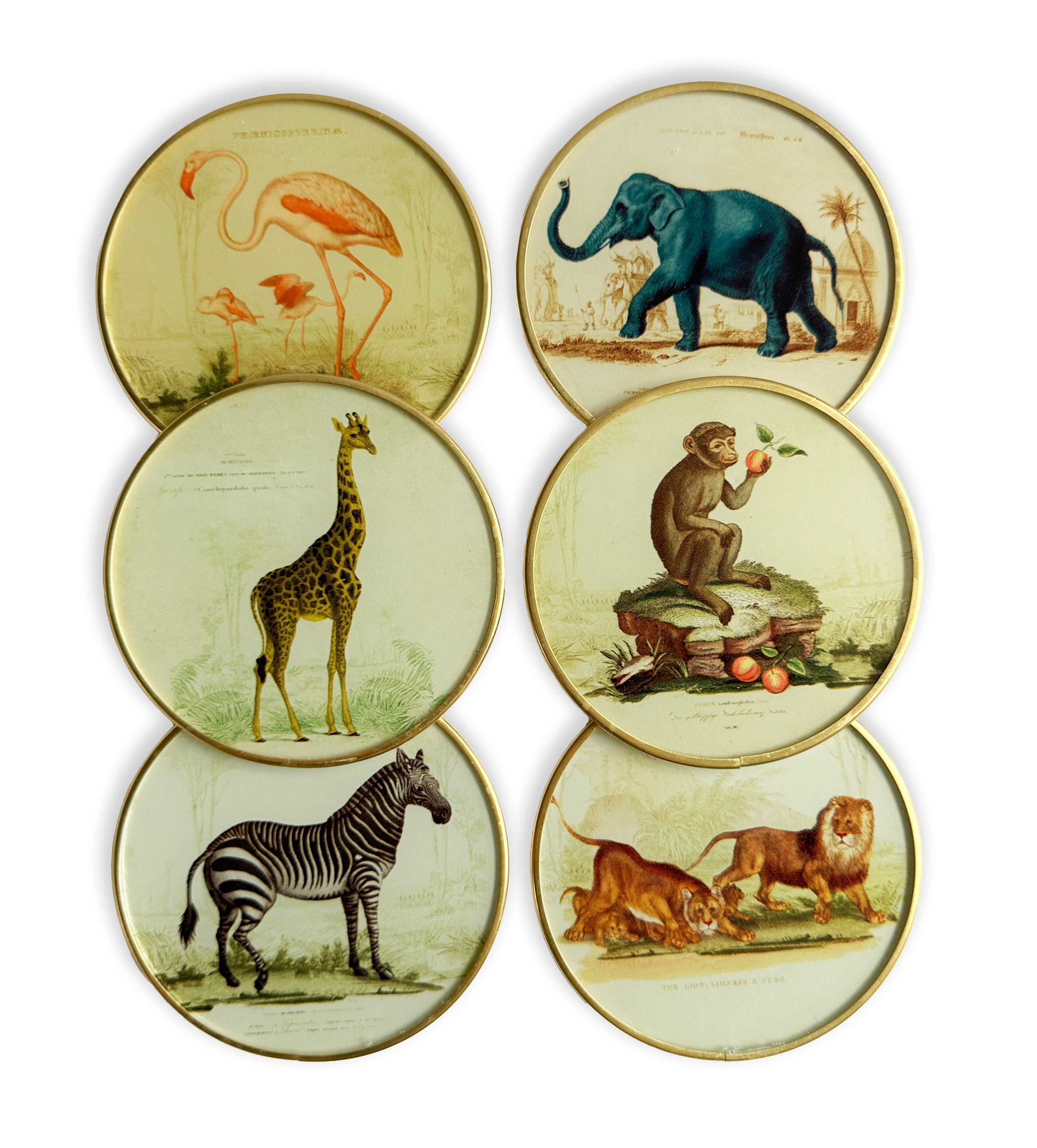 Set of vintage safari glass coasters