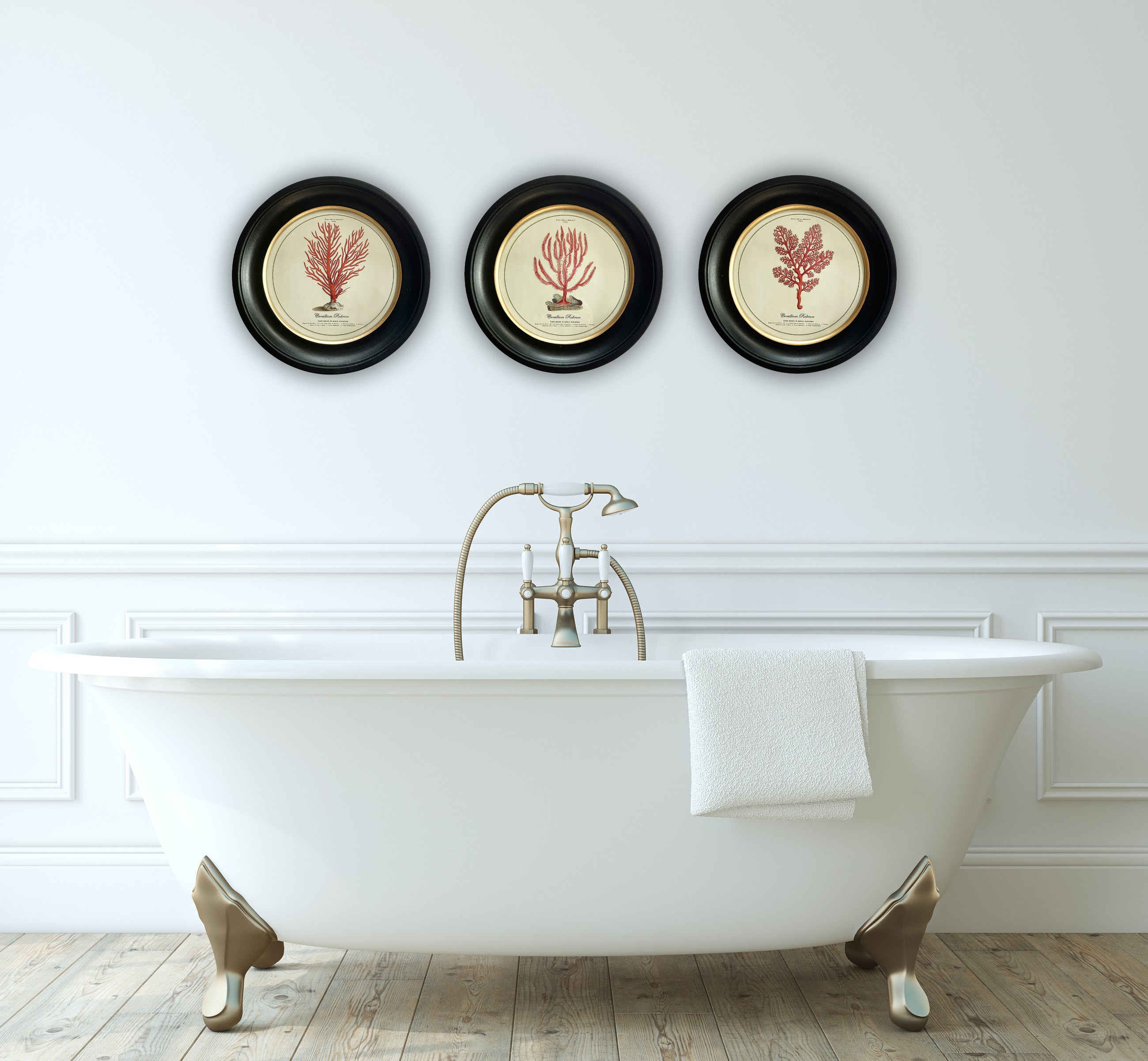 Vintage Circular Coral Picture 1