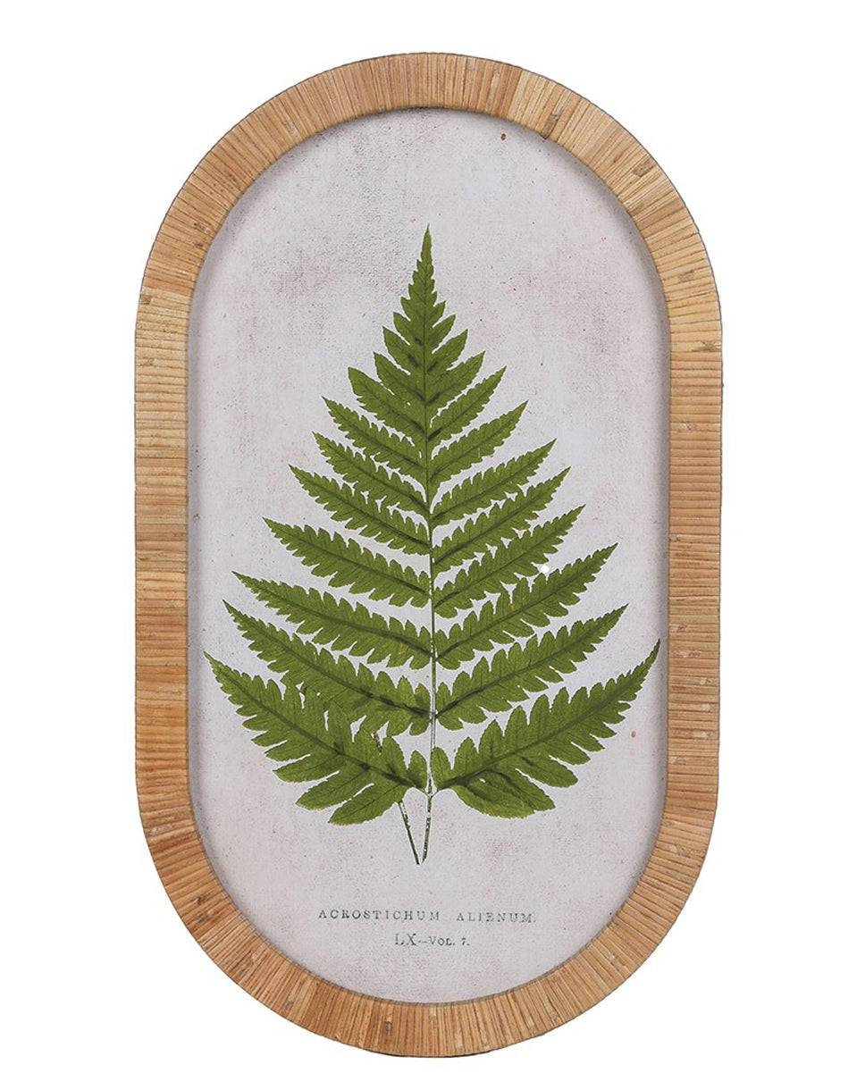 Botanical Fern Print in Rattan Frame