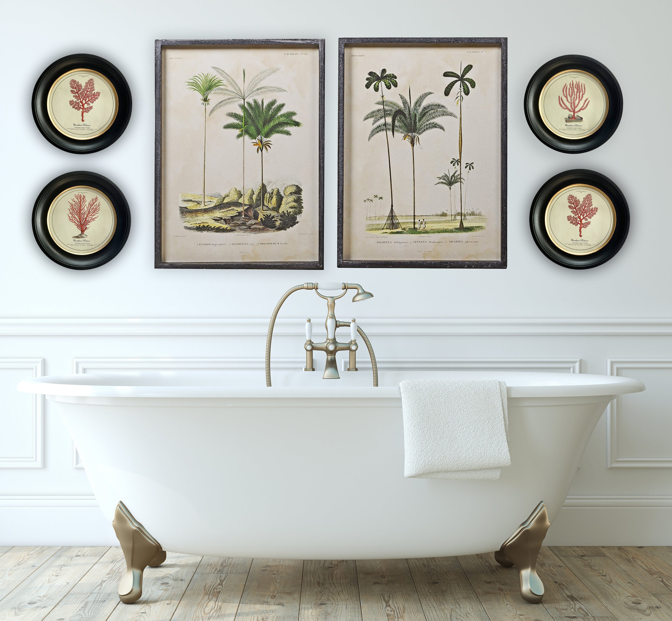 Vintage Circular Coral Picture 1