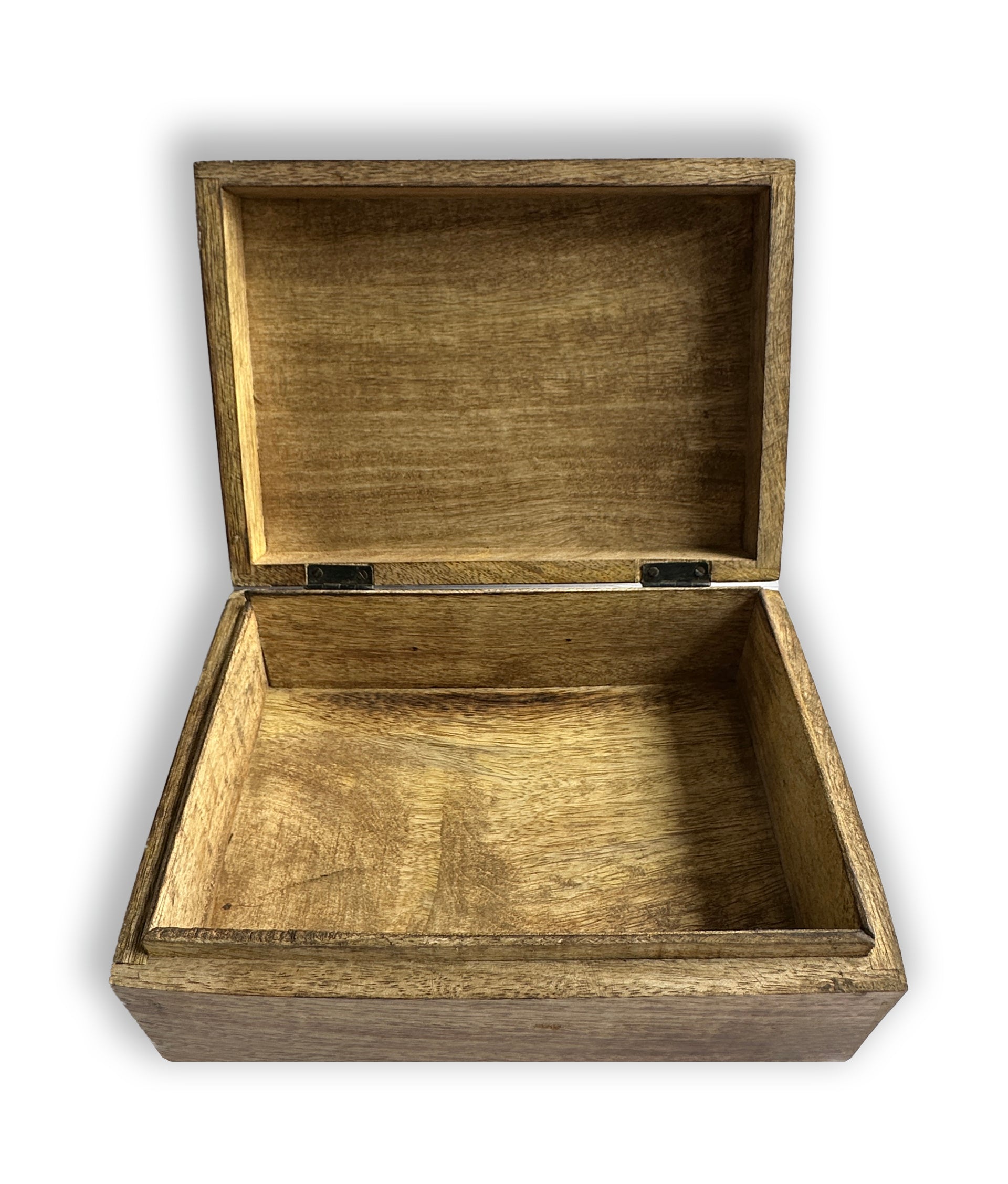 sepia jungle print box - large