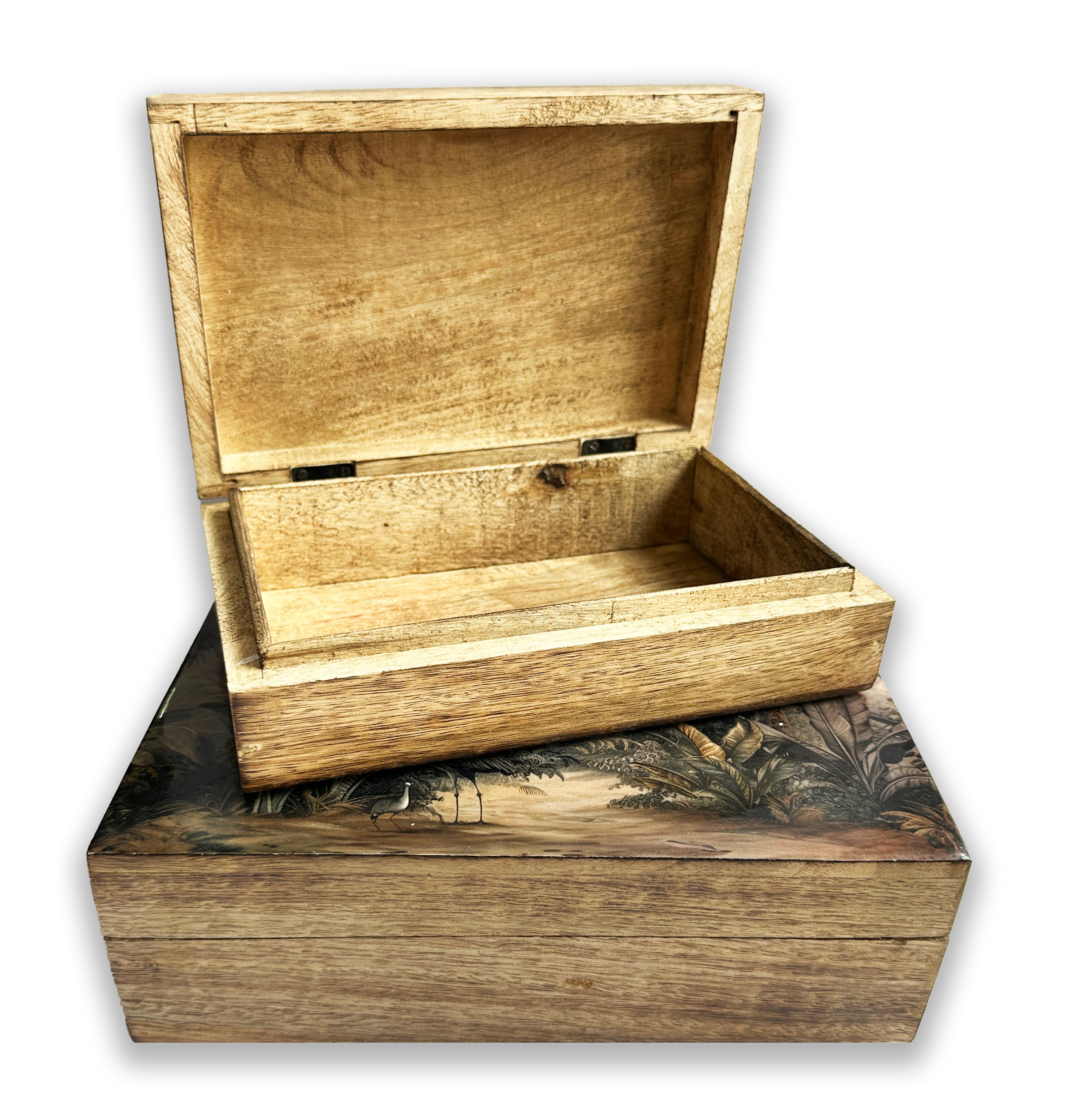 sepia jungle print box - large