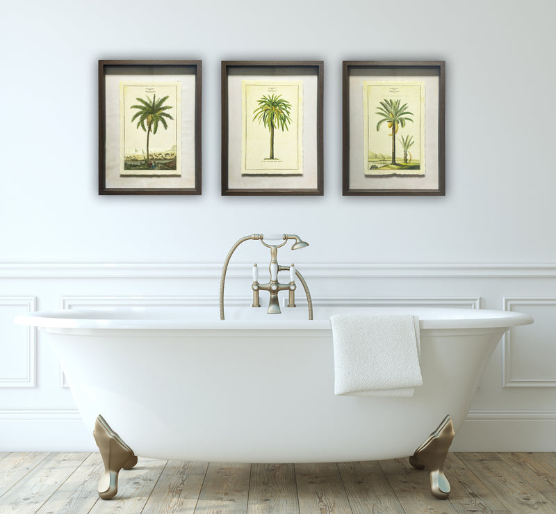Shadow Boxed framed Palm Tree Picture 1