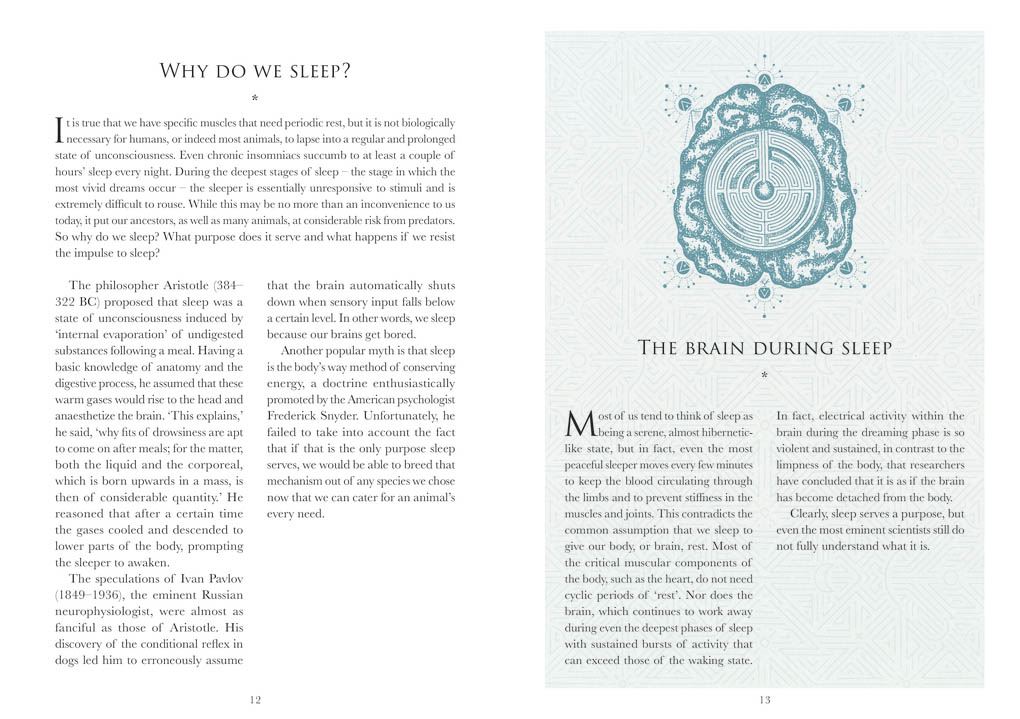 Understanding Dreams