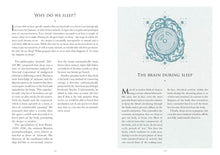 Understanding Dreams