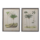 Pair of Palm Tree Pictures