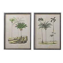 Pair of Palm Tree Pictures