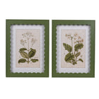 Pair of vintage floral prints in green scalloped frame