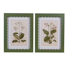 Pair of vintage floral prints in green scalloped frame