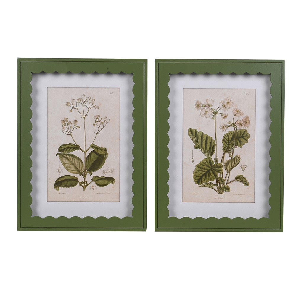 Pair of vintage floral prints in green scalloped frame