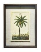 Shadow Boxed framed Palm Tree Picture 1