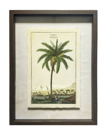 Shadow Boxed framed Palm Tree Picture 1