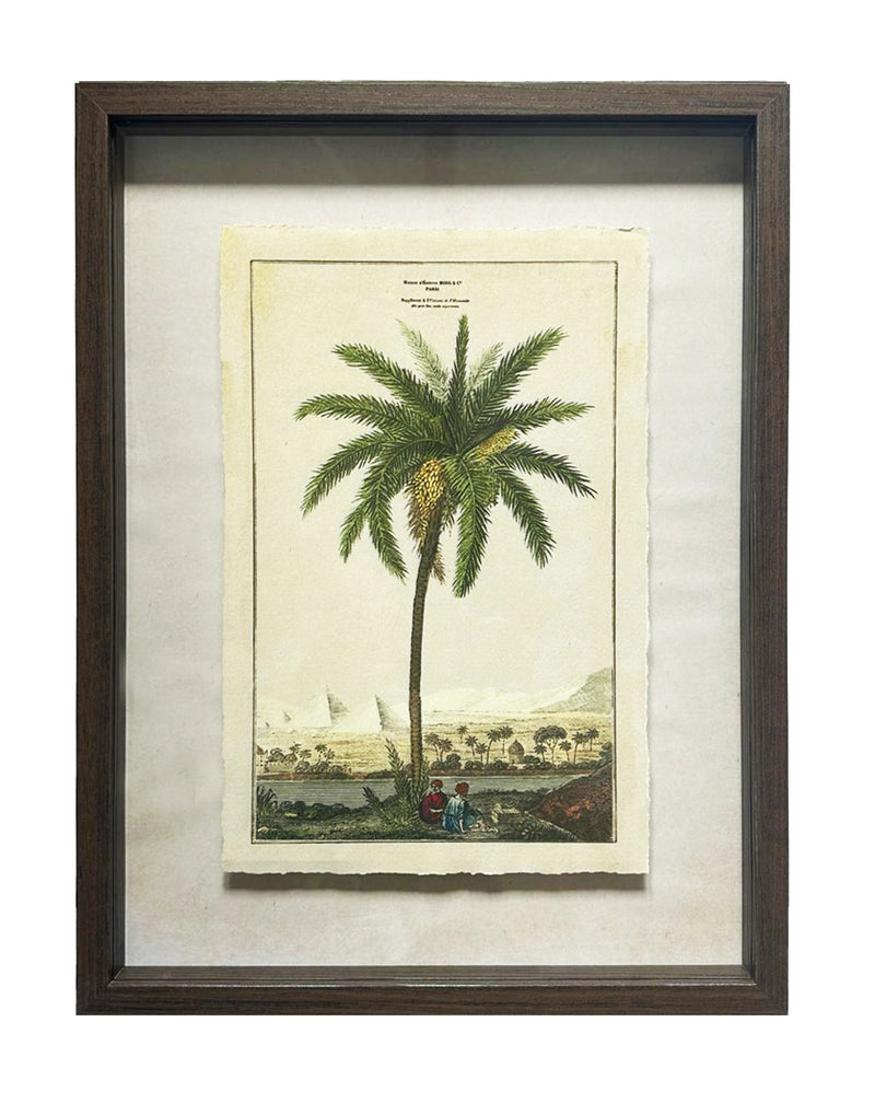 Shadow Boxed framed Palm Tree Picture 1