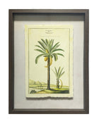 Shadow Boxed framed Palm Tree Picture 3