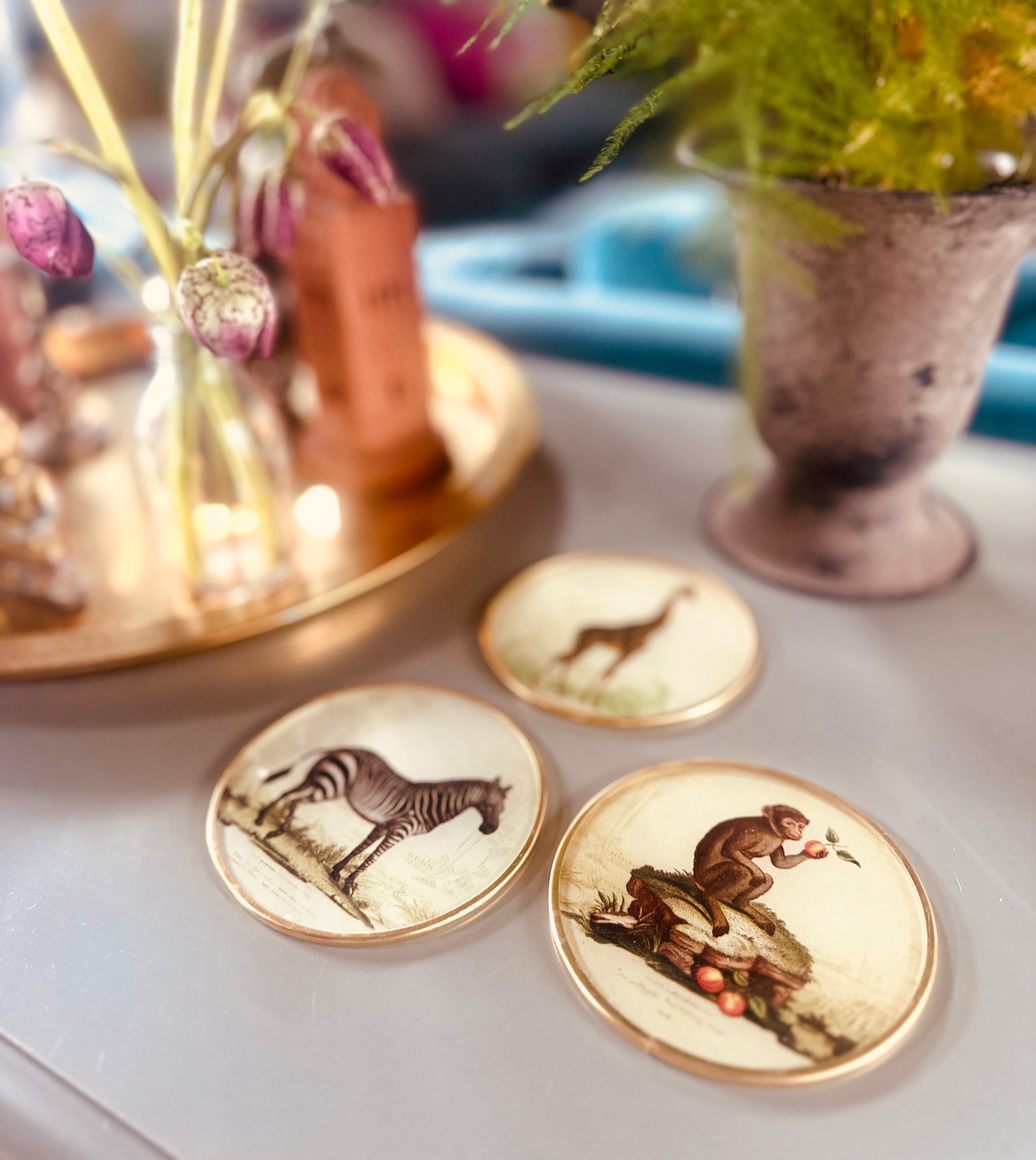 Set of vintage safari glass coasters