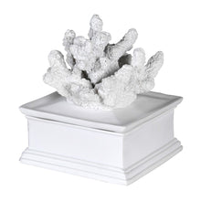 Square Coral White Trinket Box