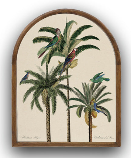 Arched parrot palm tree picture 1