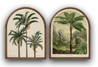 Arched parrot palm tree picture 1