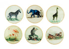 Set of vintage safari glass coasters