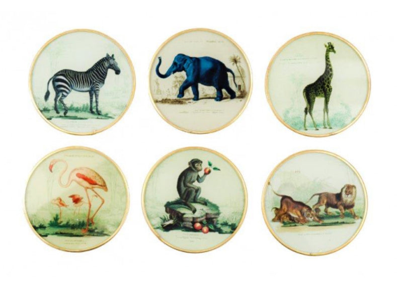 Set of vintage safari glass coasters