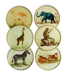 Set of vintage safari glass coasters