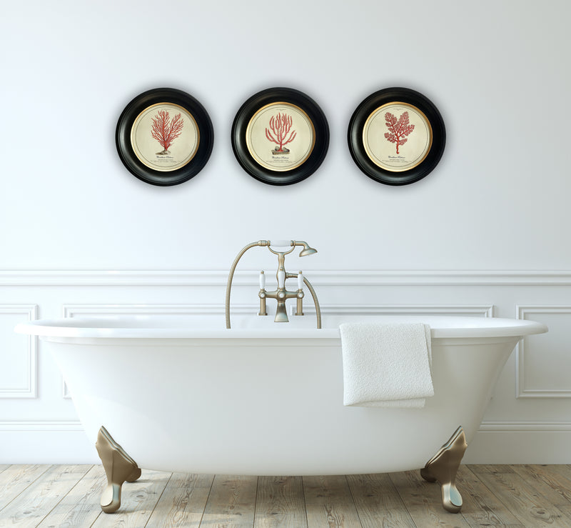 Vintage Circular Coral Picture 1