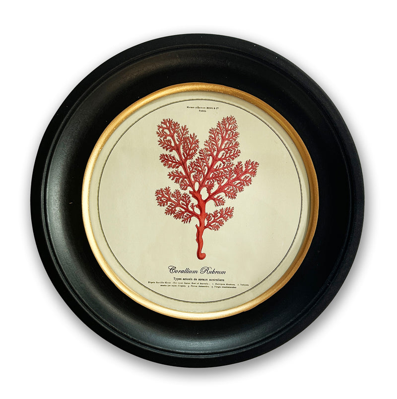 Vintage Circular Coral Picture 1