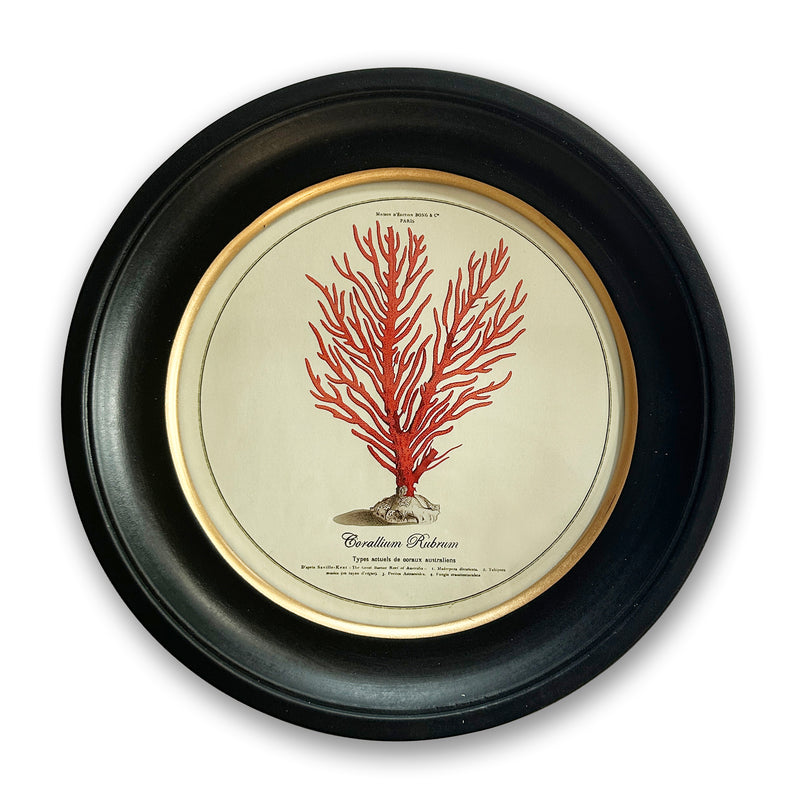 Vintage Circular Coral Picture 2