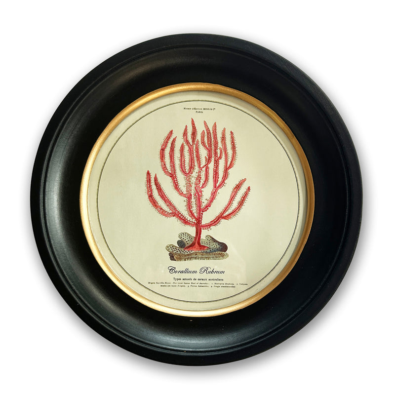 Vintage Circular Coral Picture 3