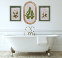 Botanical Fern Print in Rattan Frame