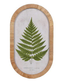 Botanical Fern Print in Rattan Frame