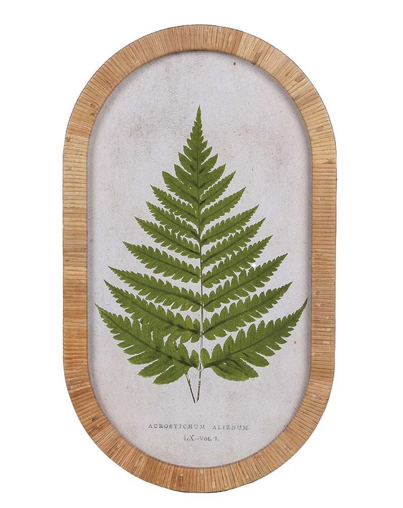 Botanical Fern Print in Rattan Frame