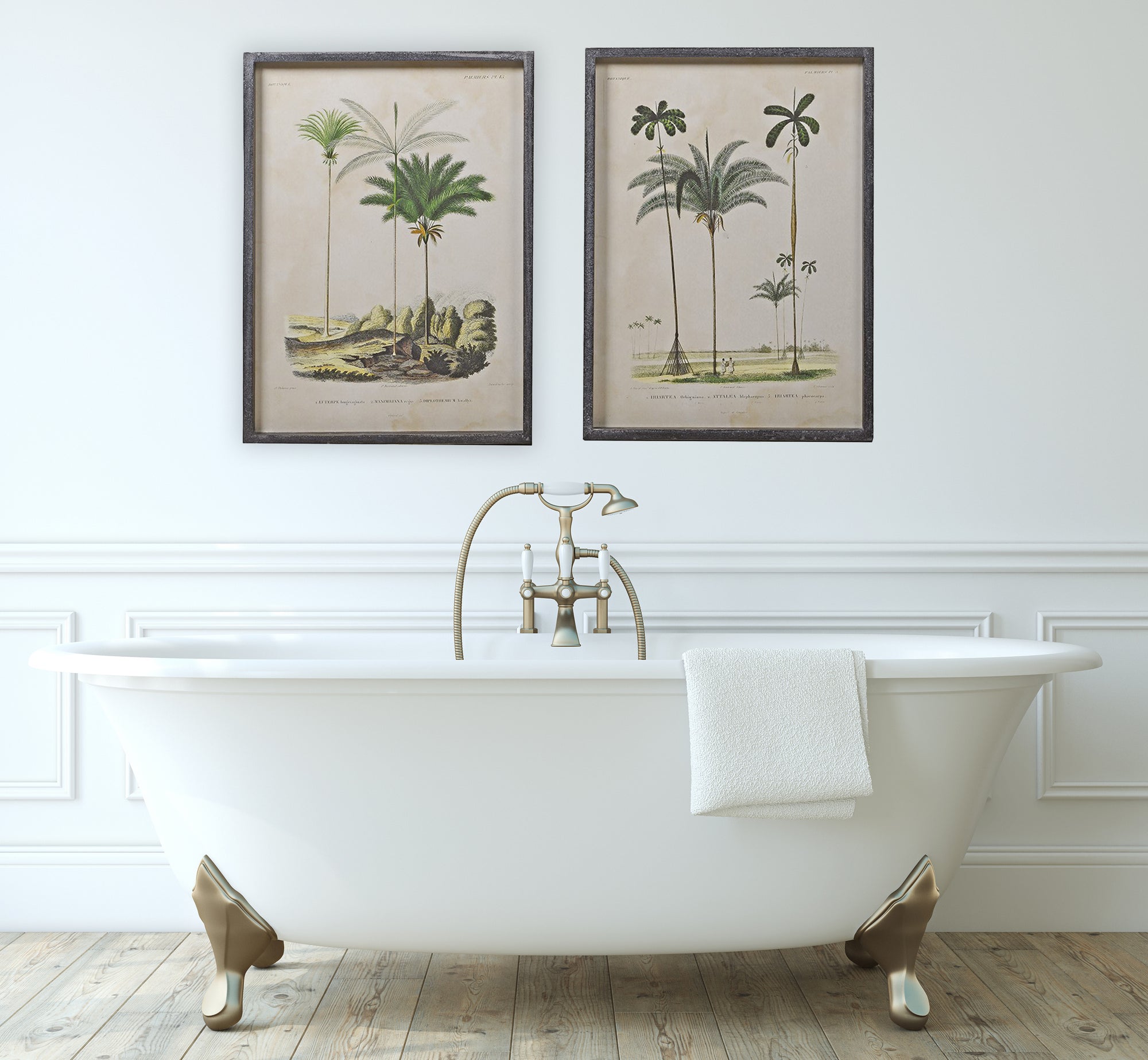Pair of Palm Tree Pictures