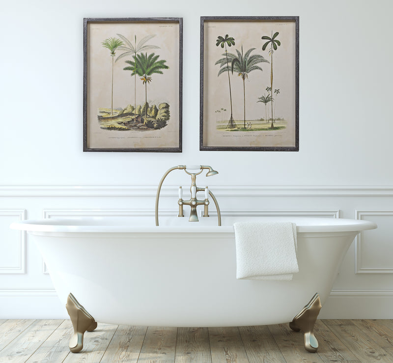 Pair of Palm Tree Pictures