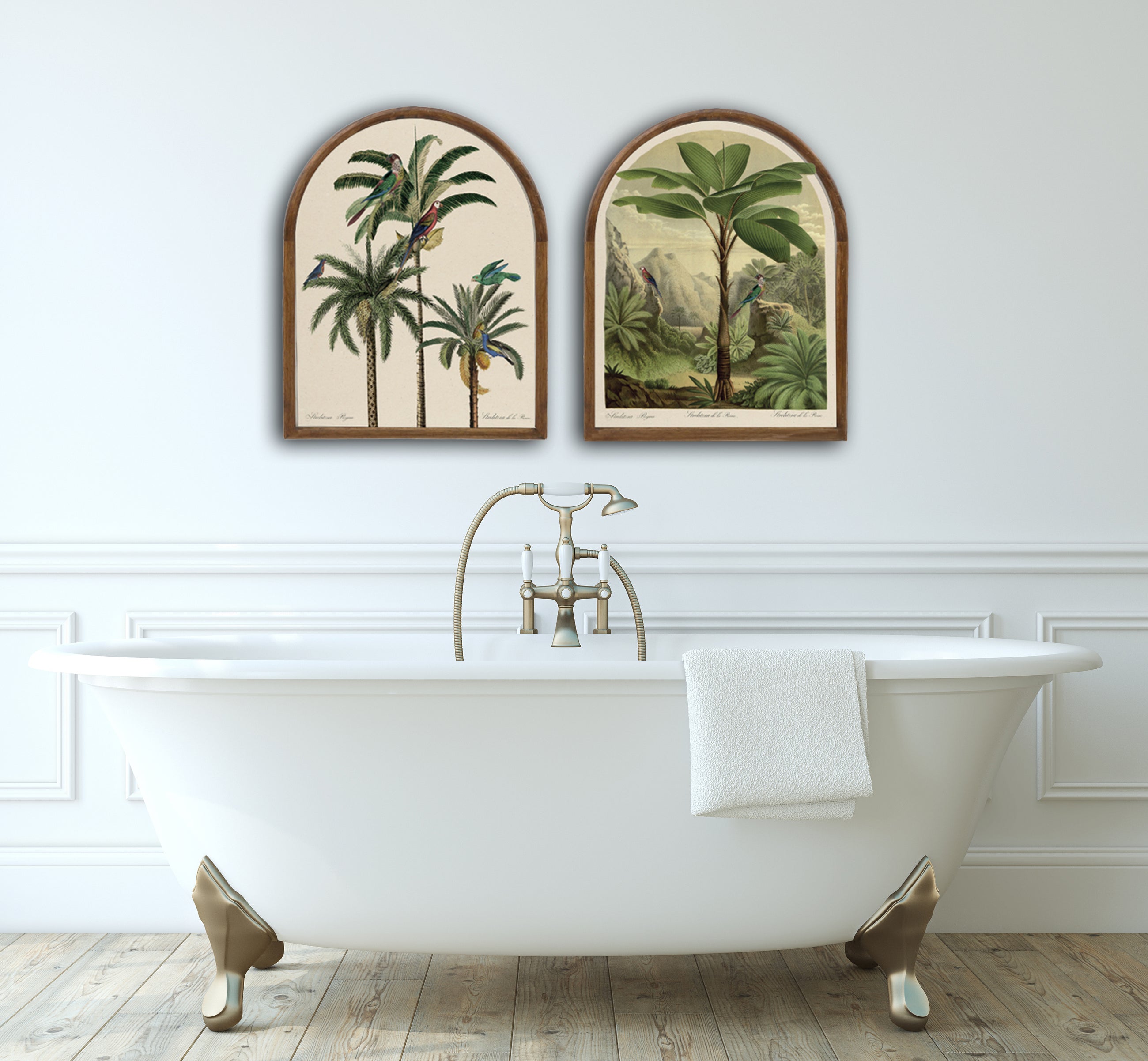 Arched parrot palm tree picture 1