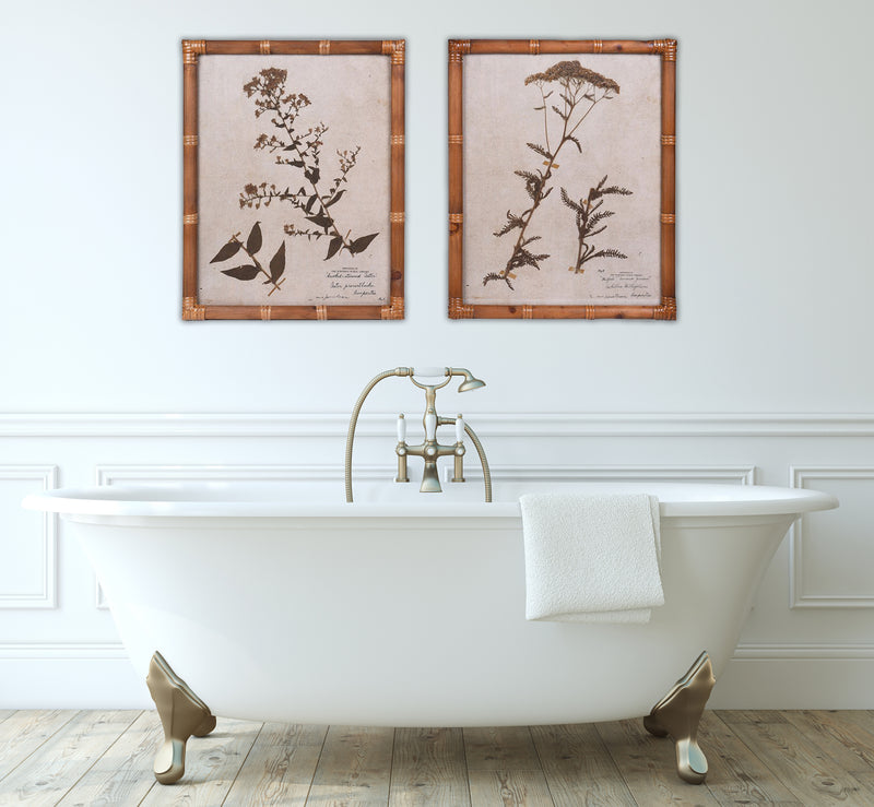 Pair of Pressed Flower Prints in Cane Frames