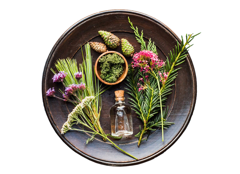 Hand & body lotion - Mountain Flowers & Spring Water SALE