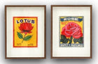 Vintage style Indian pair of pictures- Lotus &amp; Rose
