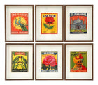 Vintage style Indian pair of pictures- Lotus &amp; Rose