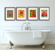 Vintage style Indian pair of pictures- Lotus &amp; Rose