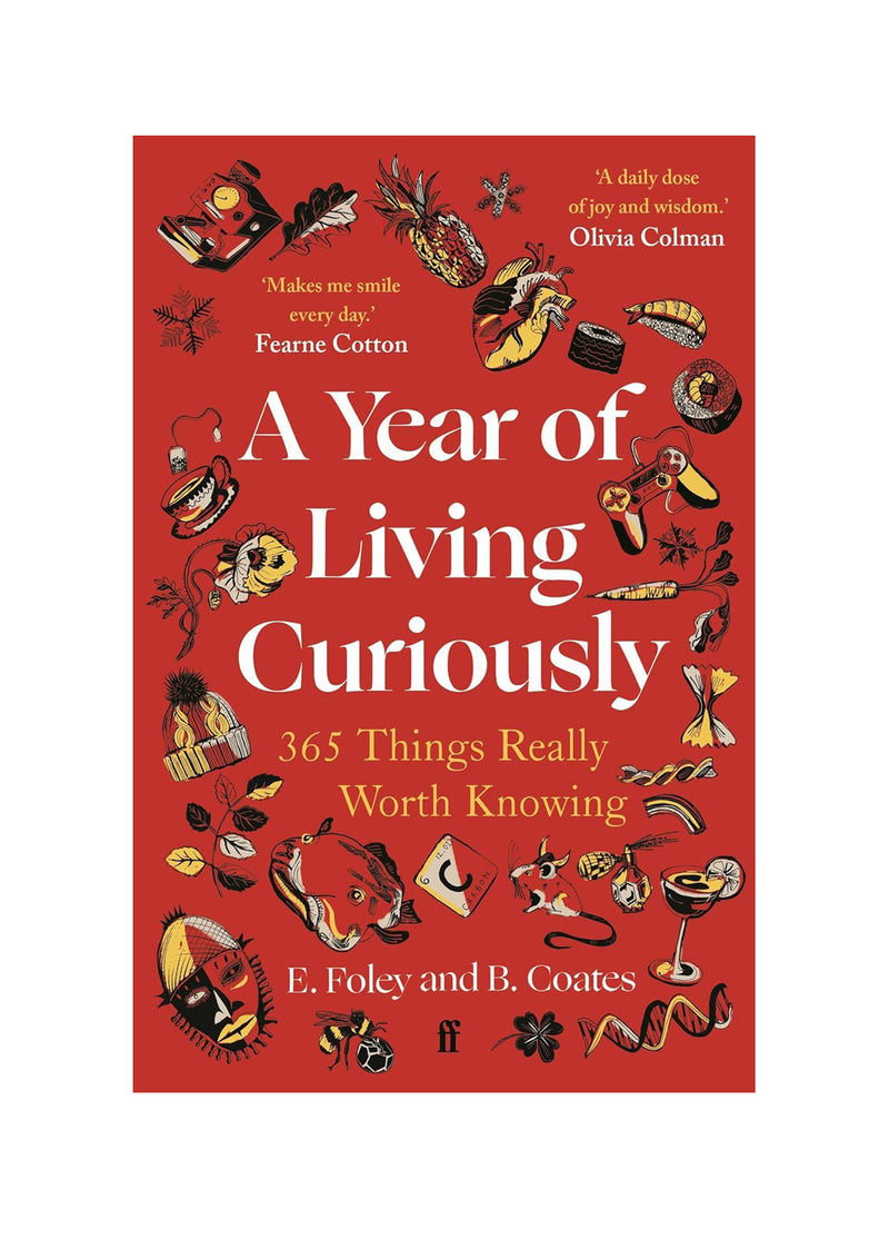 A year of living curiously